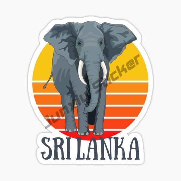 Fashion Car Sticker Sri Lanka  - Laptop Accessories Sri Lanka 评论和价格