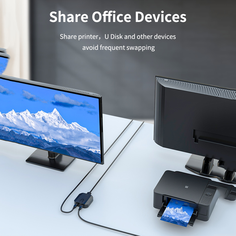 2X1 KVM Switch Box Selector Du - Laptop Accessories Toy 评论和价格