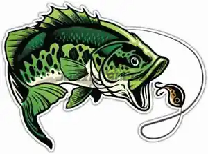 Perch Fishing Stickers Window  - Laptop Accessories Box 评论和价格